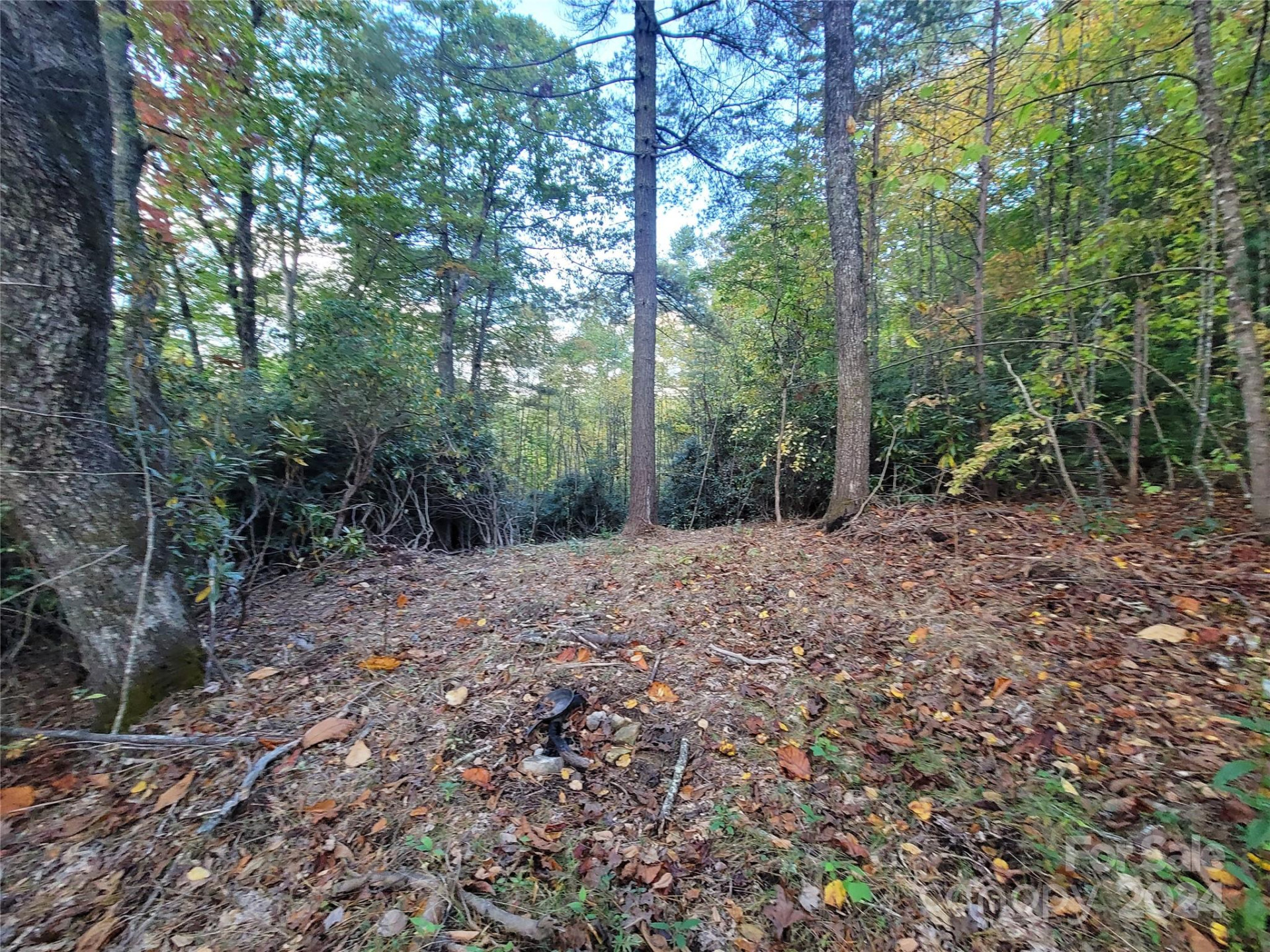 0 Big Hungry Road - Photo 10