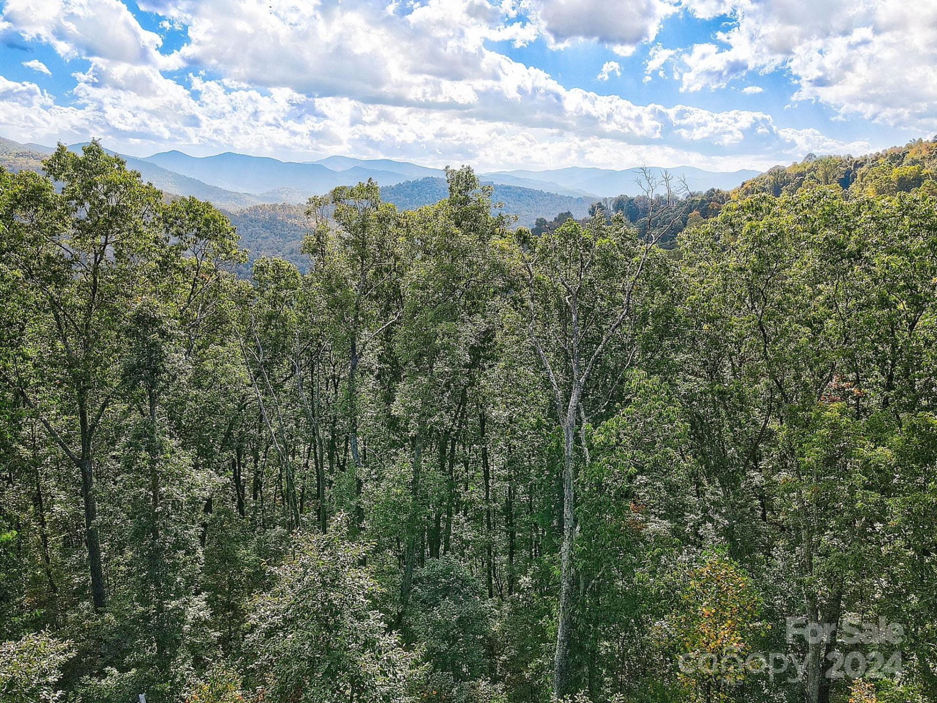 000 High Rock View Drive #32 - Photo 11