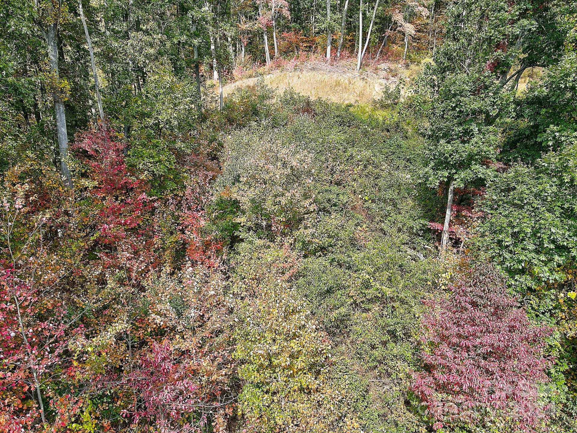 000 High Rock View Drive #32 - Photo 12