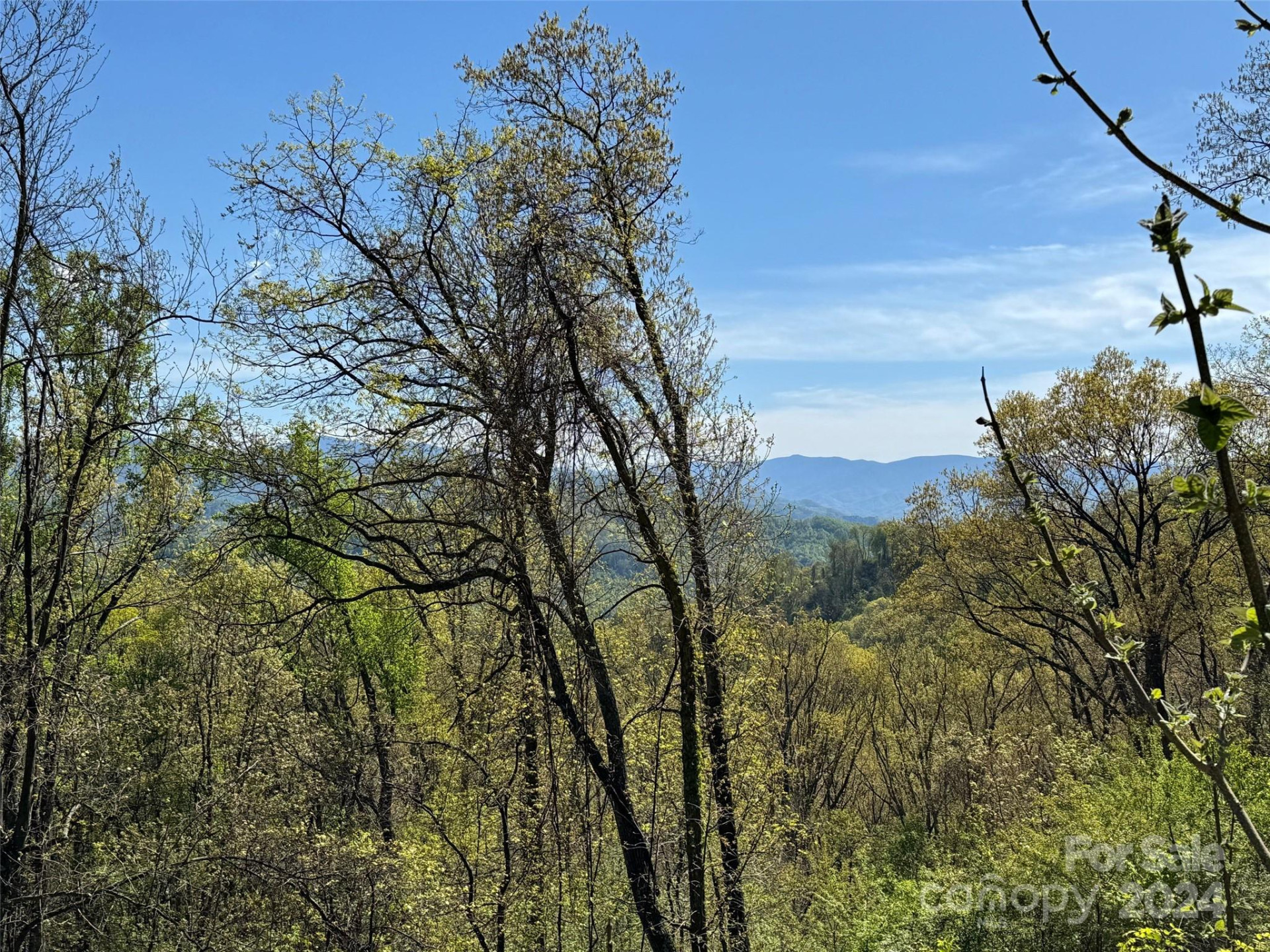 000 High Rock View Drive #32 - Photo 19