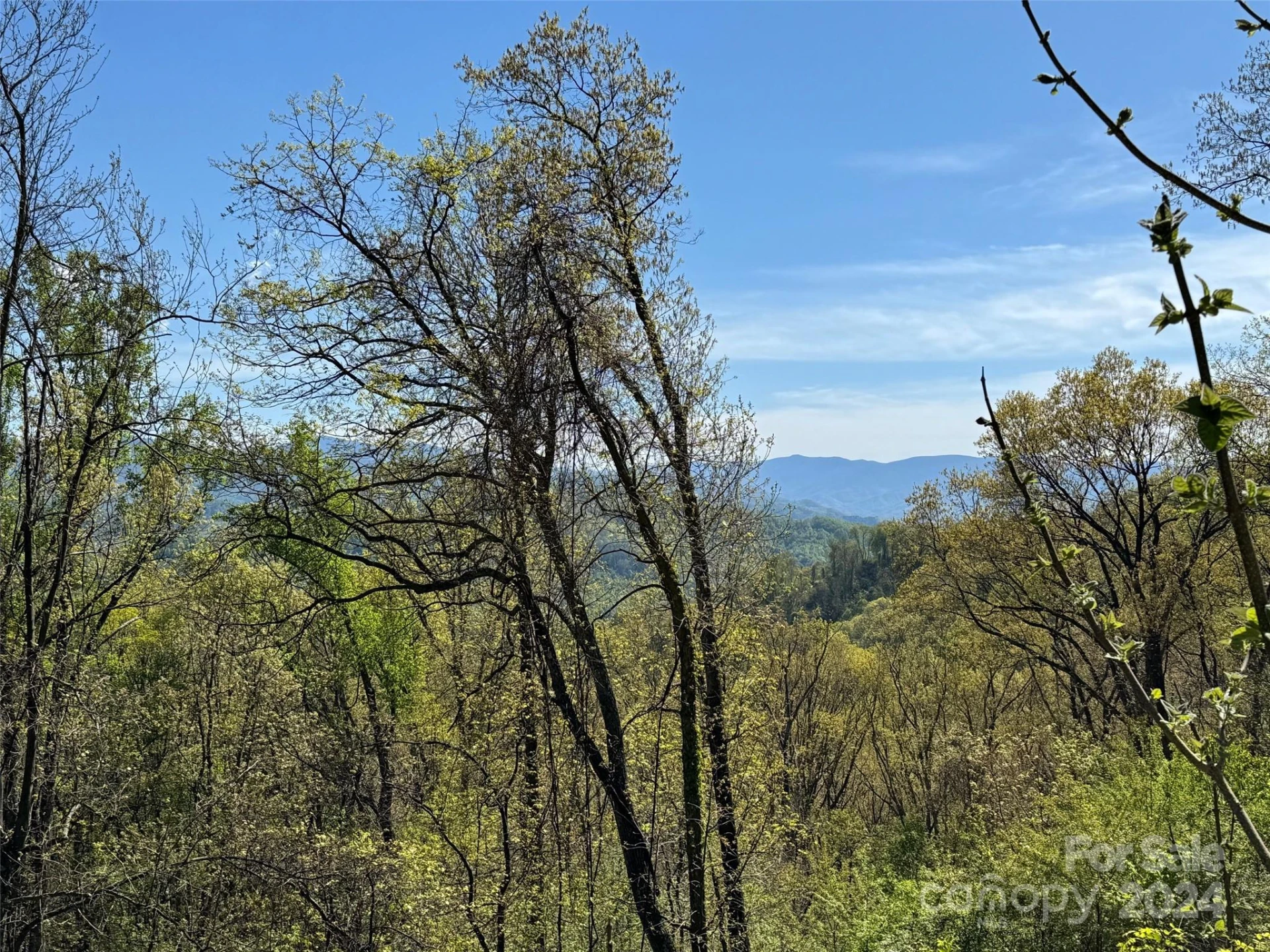 000 High Rock View Drive #32 - Photo 19