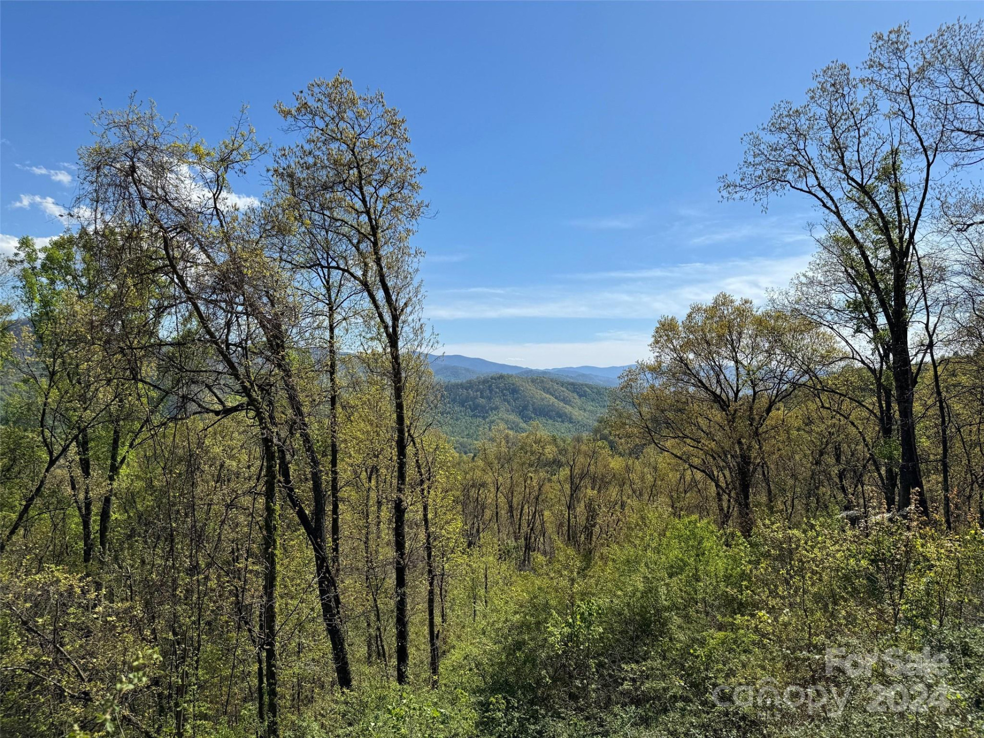 000 High Rock View Drive #32 - Photo 20