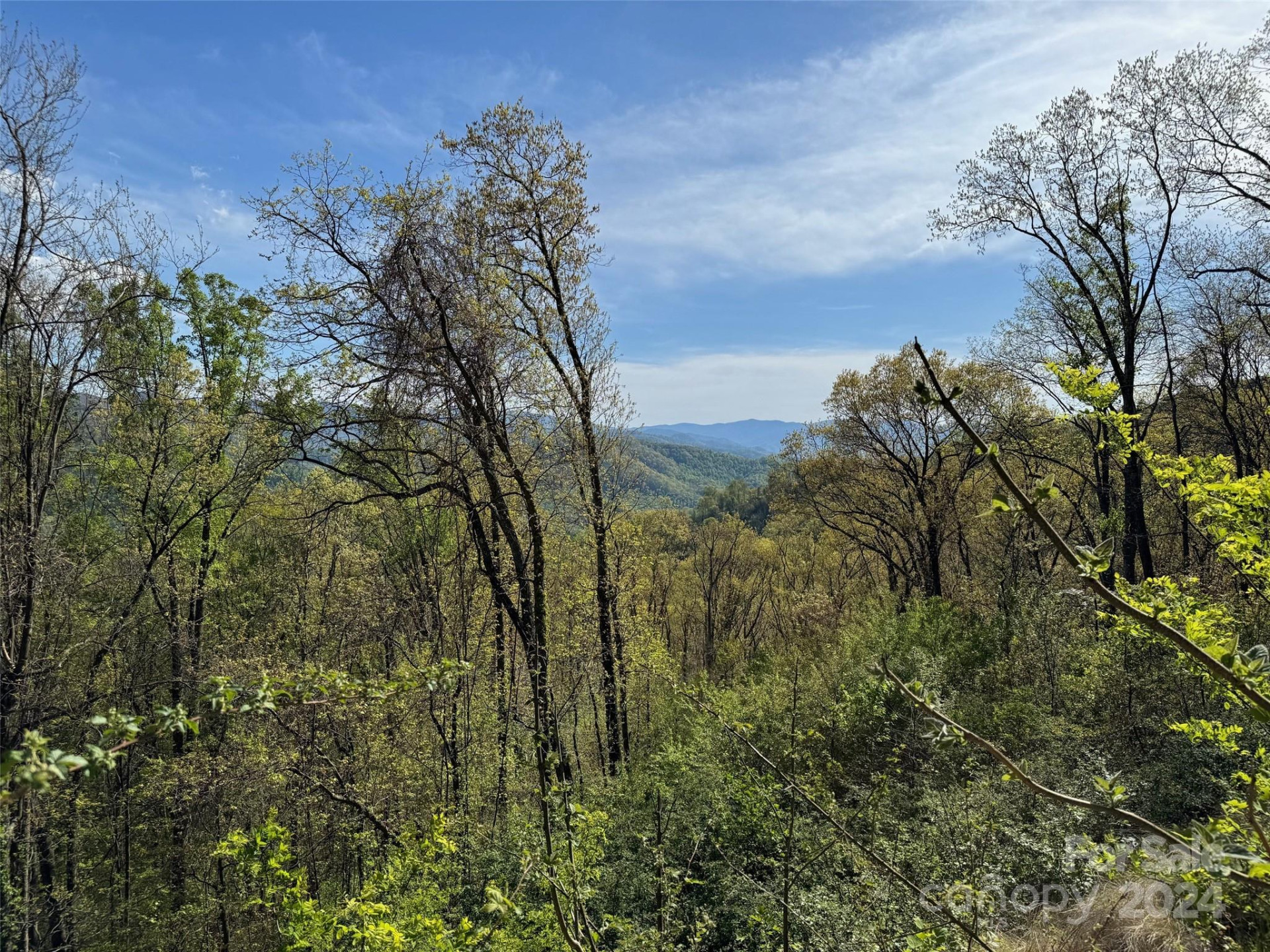 000 High Rock View Drive #32 - Photo 21