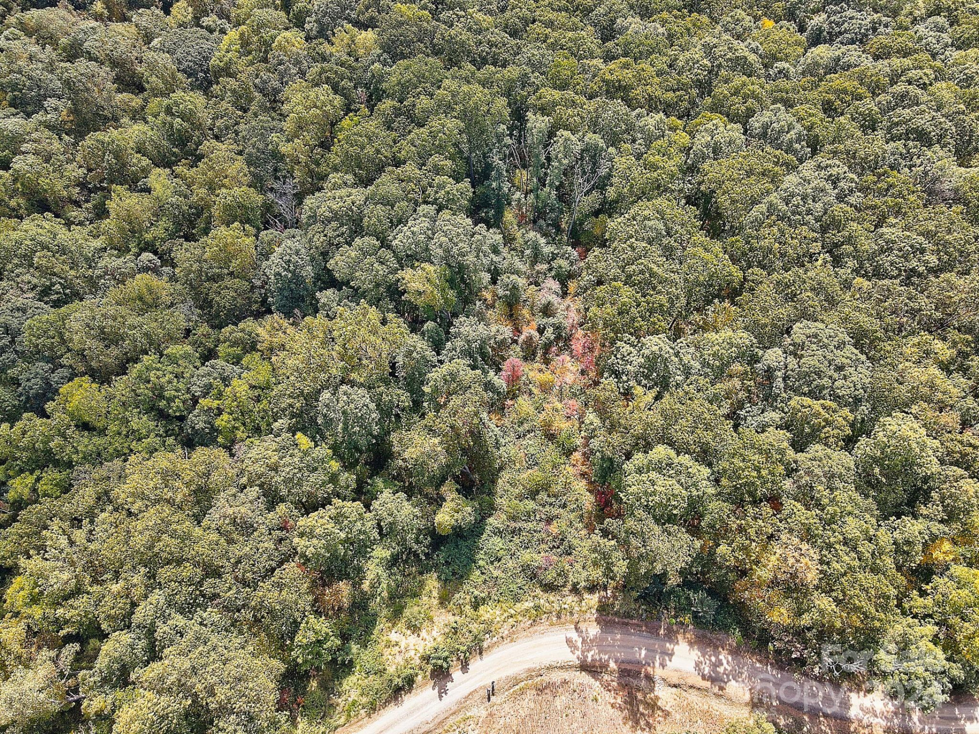 000 High Rock View Drive #32 - Photo 4