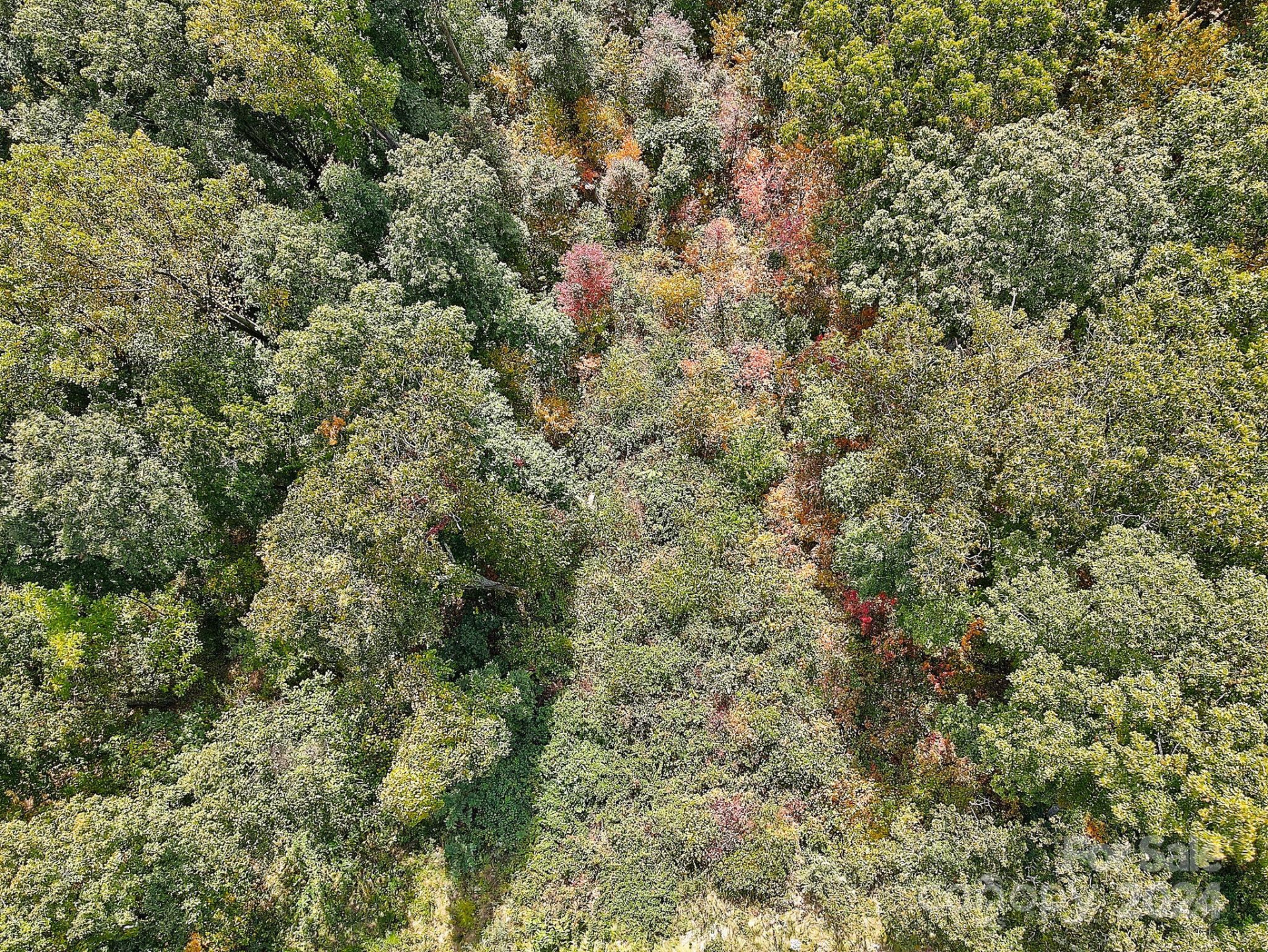 000 High Rock View Drive #32 - Photo 5