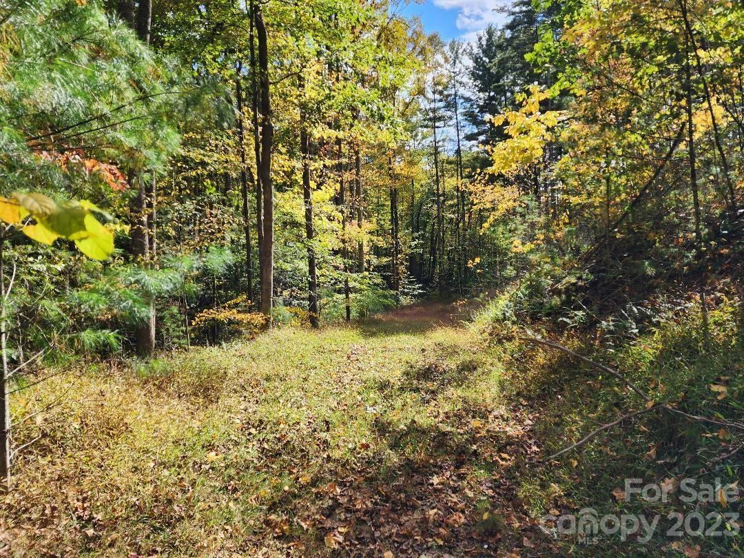 00 Thorncrest Drive #23 - Photo 2