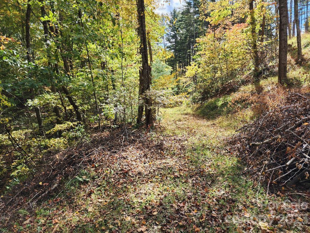 00 Thorncrest Drive #23 - Photo 3