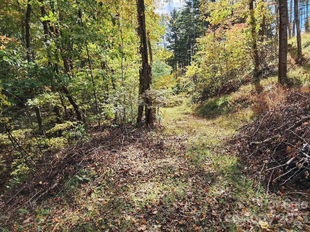00 Thorncrest Drive #23 - Photo 3
