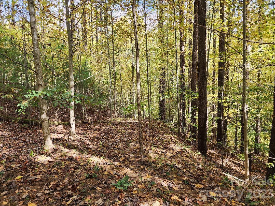 00 Thorncrest Drive #23 - Photo 4