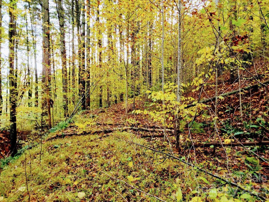 00 Thorncrest Drive #23 - Photo 5