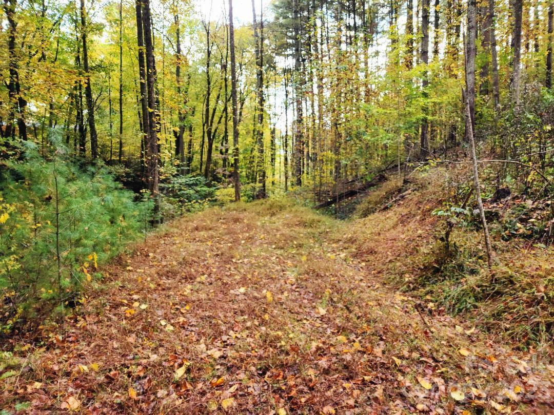 00 Thorncrest Drive #23 - Photo 6