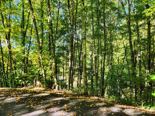 00 Loblolly Way, Maggie Valley, NC, 28751