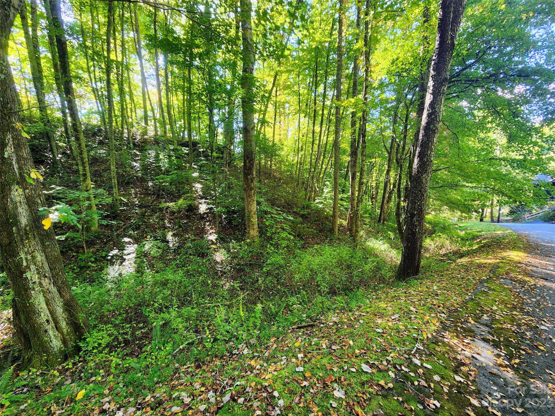 00 Loblolly Way #C7 - Photo 2