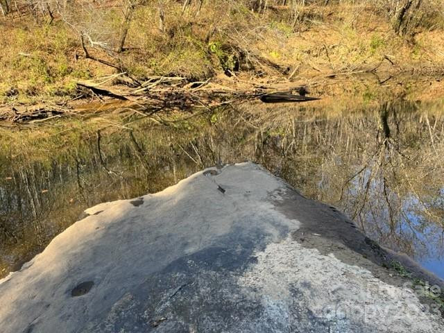 TBD Shady Lane - Photo 4