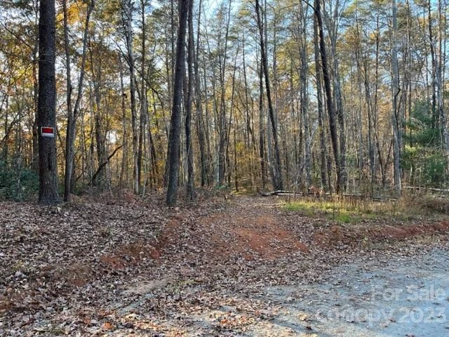 TBD Shady Lane - Photo 5