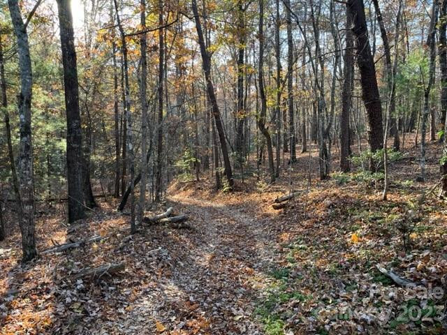 TBD Shady Lane - Photo 6