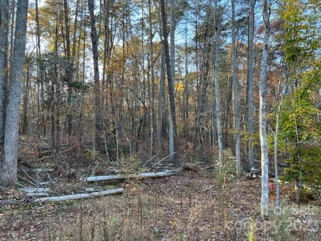 TBD Shady Lane - Photo 7