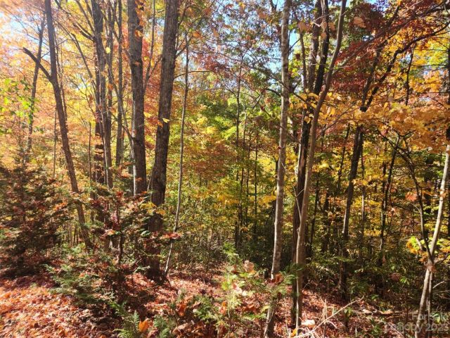 00 Angel of the Lake Drive