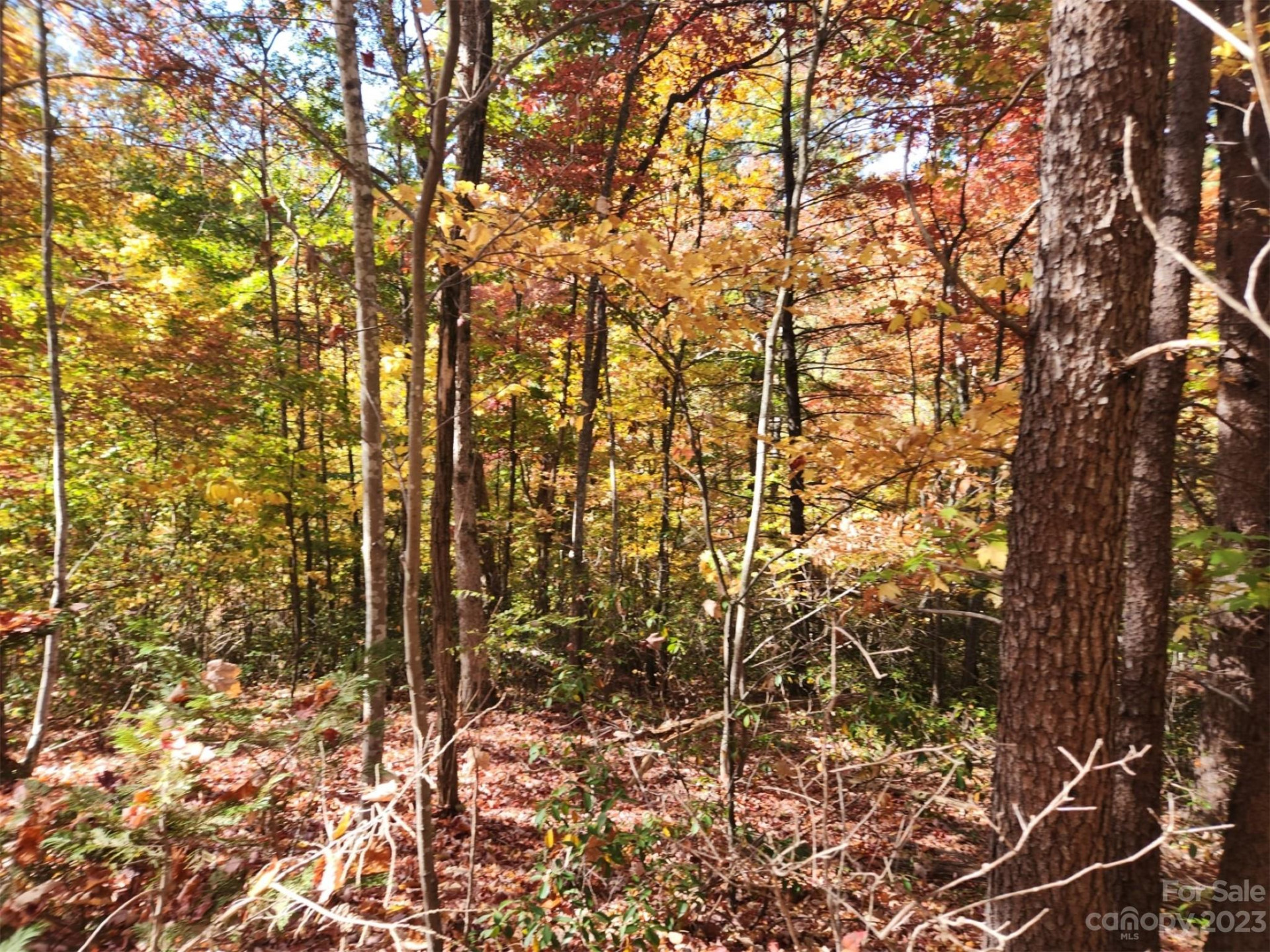 00 Angel of the Lake Drive #17 - Photo 2