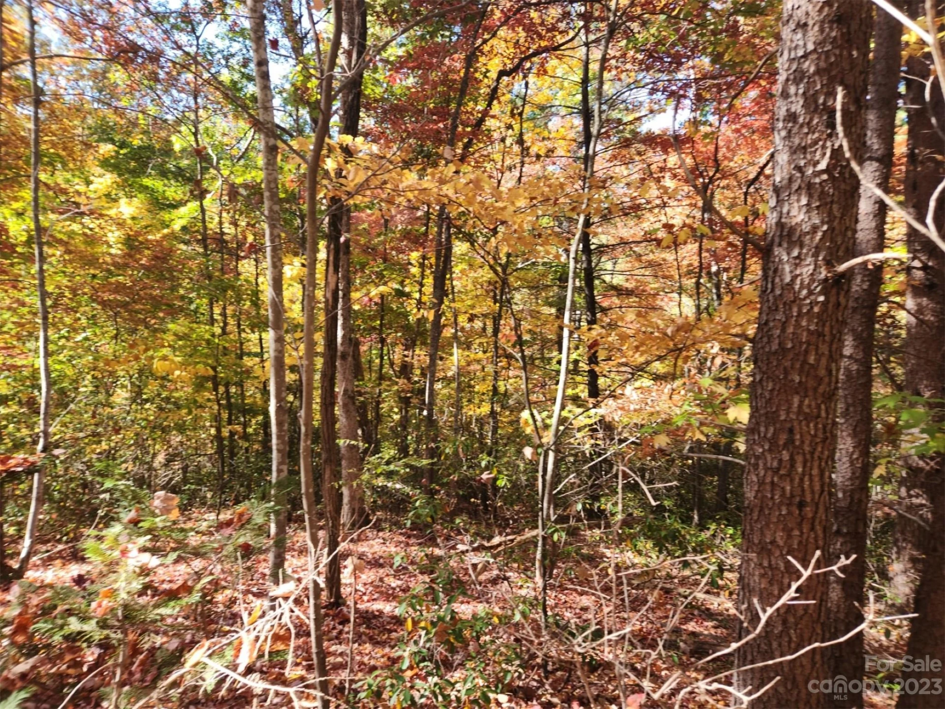 00 Angel of the Lake Drive #17 - Photo 2