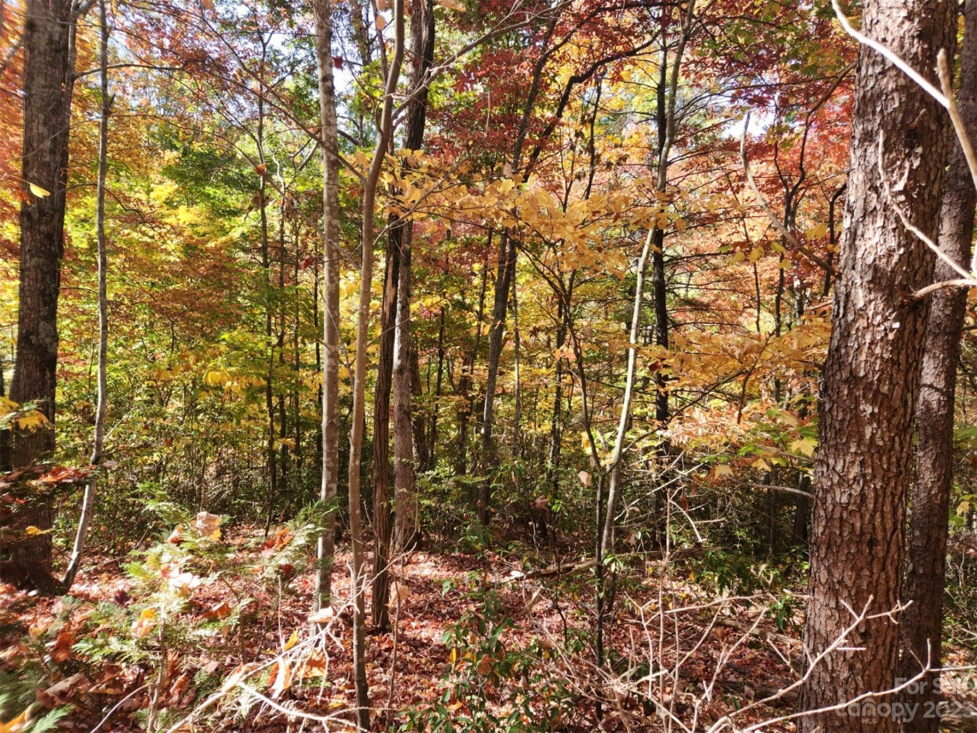 00 Angel of the Lake Drive #17 - Photo 4