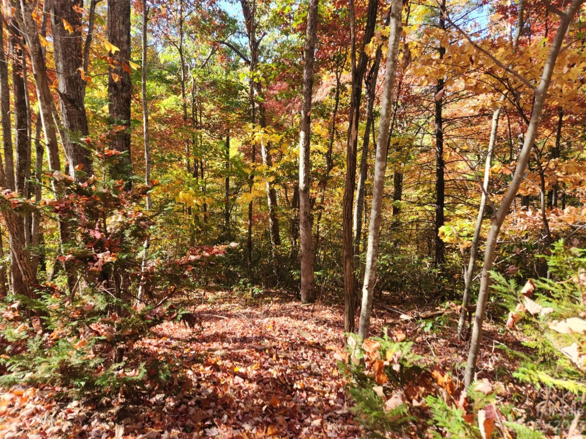 00 Angel of the Lake Drive #17 - Photo 5