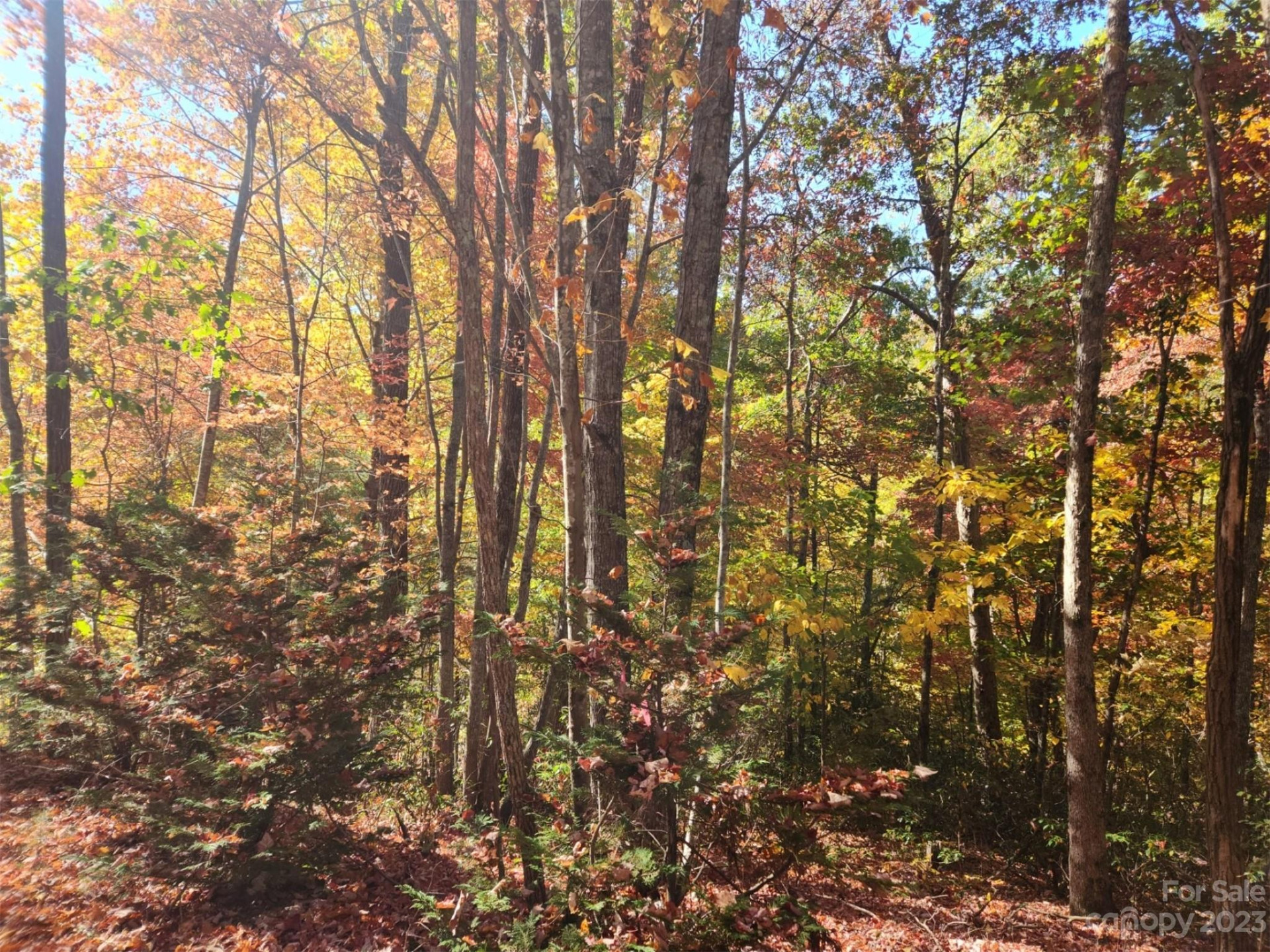 00 Angel of the Lake Drive #17 - Photo 6