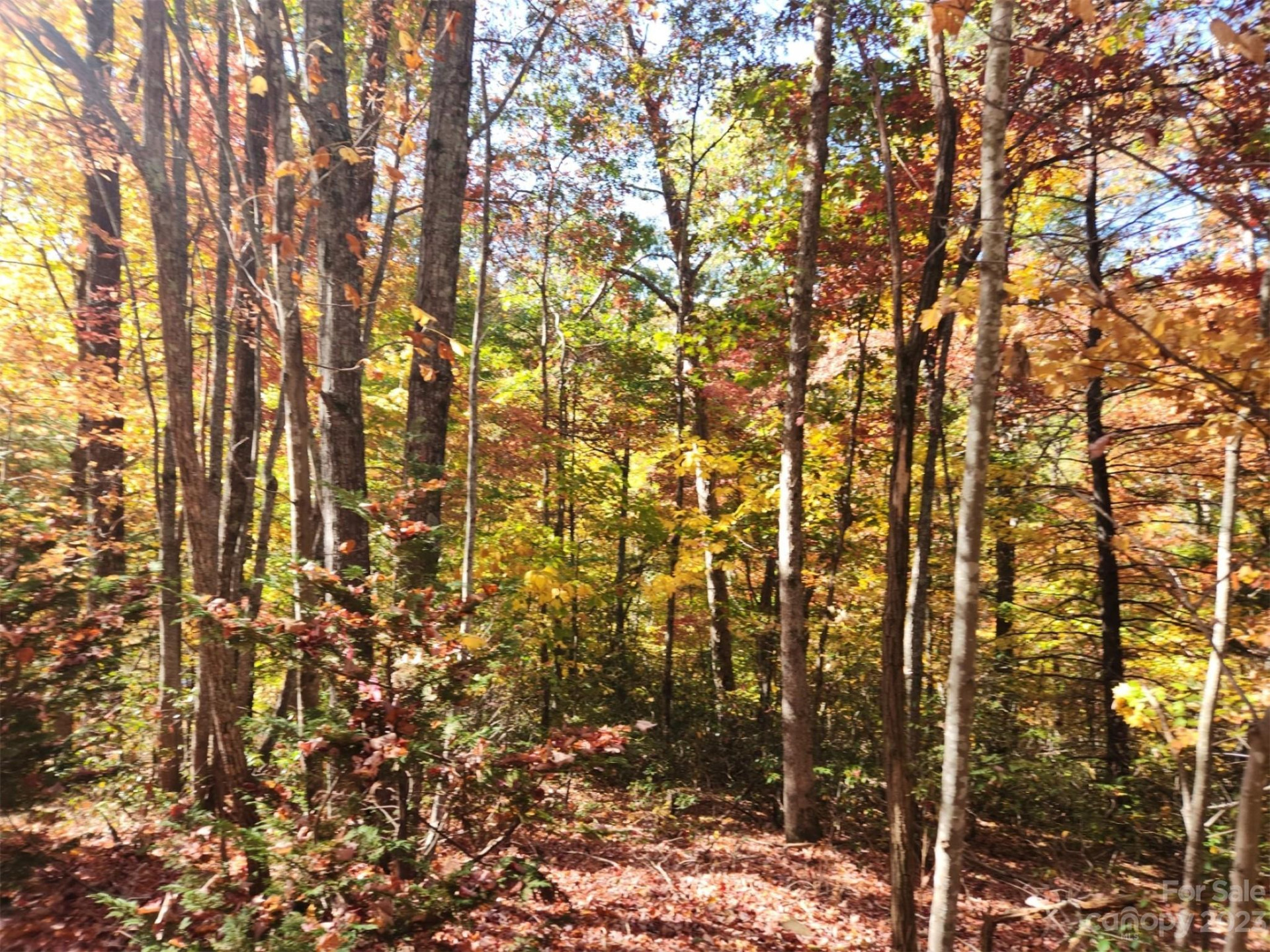 00 Angel of the Lake Drive #17 - Photo 7