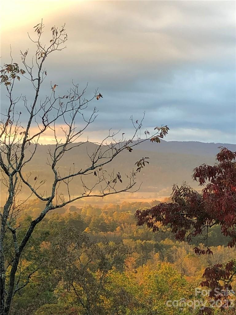 Lot M6 Pine Mountain Trail #M6 - Photo 17