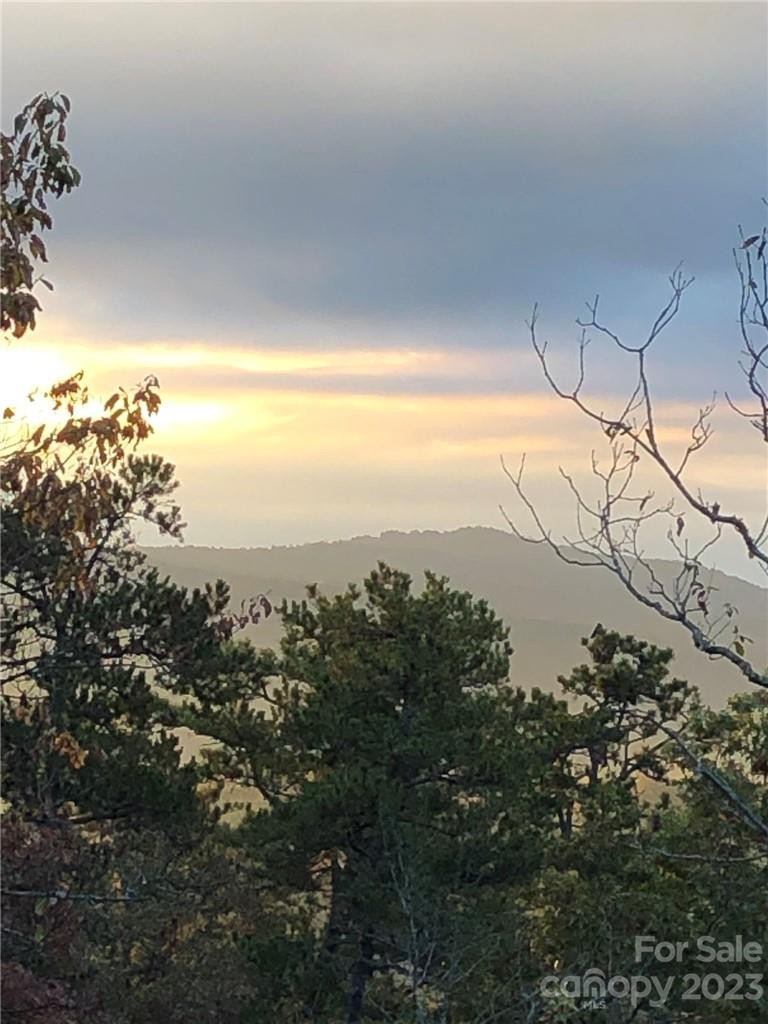 Lot M6 Pine Mountain Trail #M6 - Photo 18