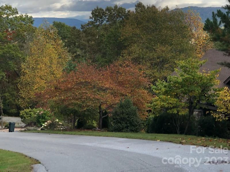 Lot M6 Pine Mountain Trail #M6 - Photo 8
