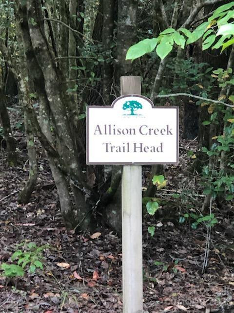 Lot M6 Pine Mountain Trail #M6 - Photo 9