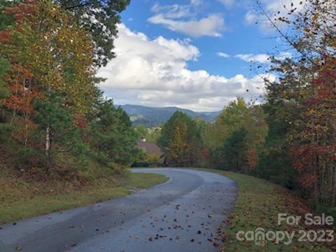 Lot M6 Pine Mountain Trail #M6 - Photo 10