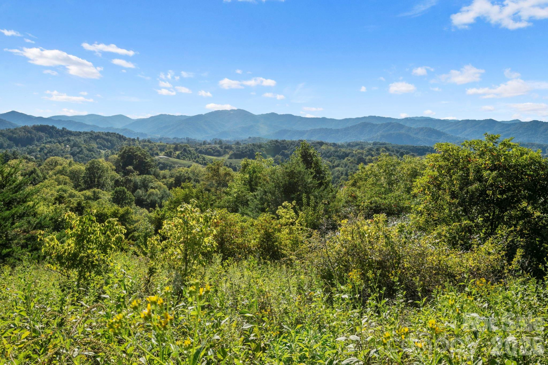 1231 Baileys Branch Road #3 - Photo 25