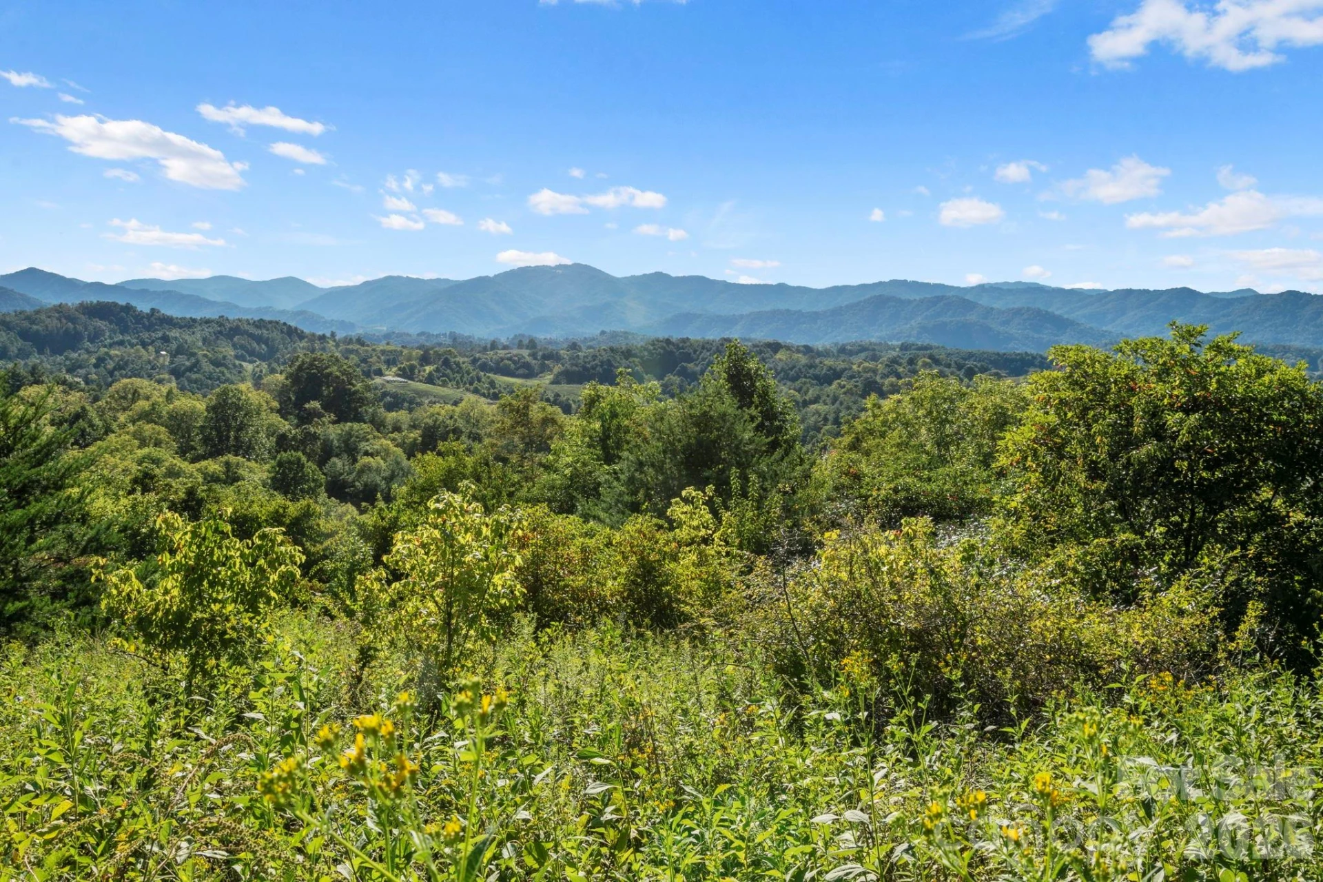 1231 Baileys Branch Road #3 - Photo 21