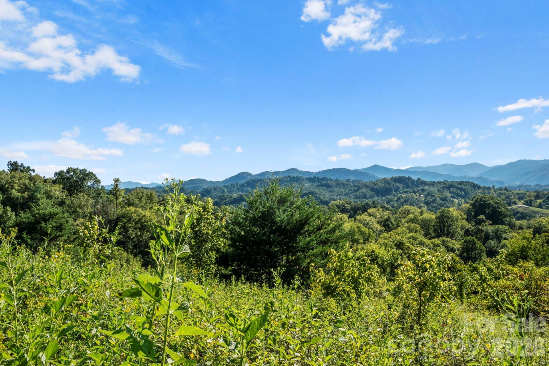 1231 Baileys Branch Road #3 - Photo 26