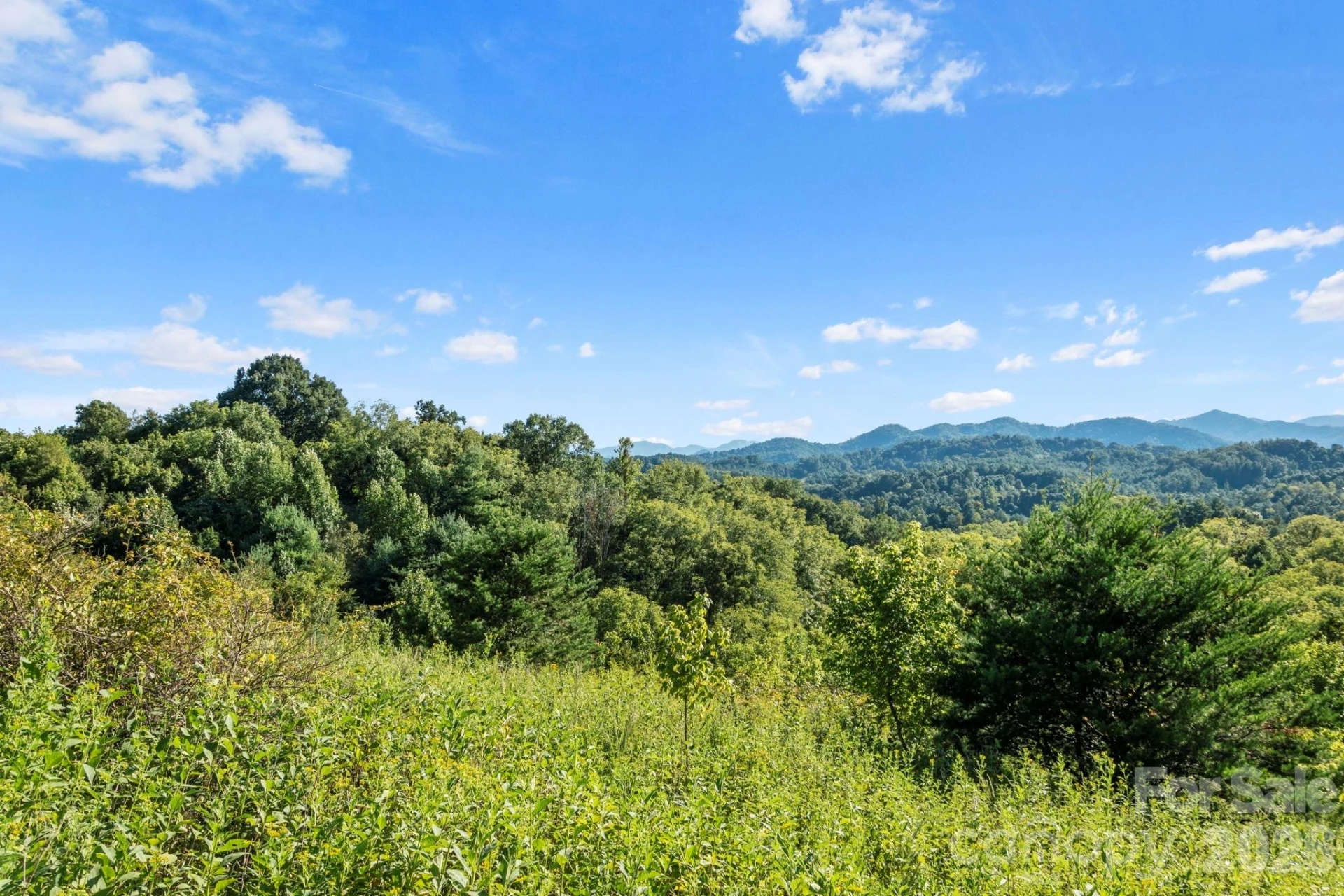 1231 Baileys Branch Road #3 - Photo 23