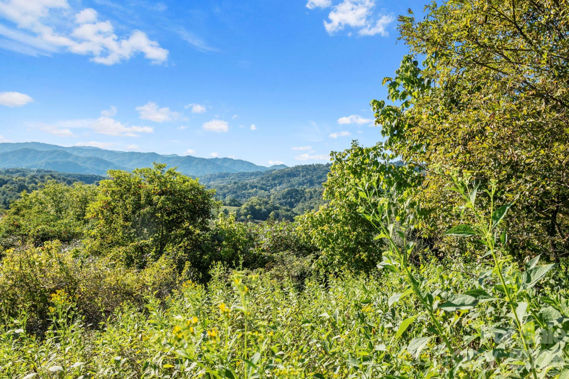 1231 Baileys Branch Road #3 - Photo 28