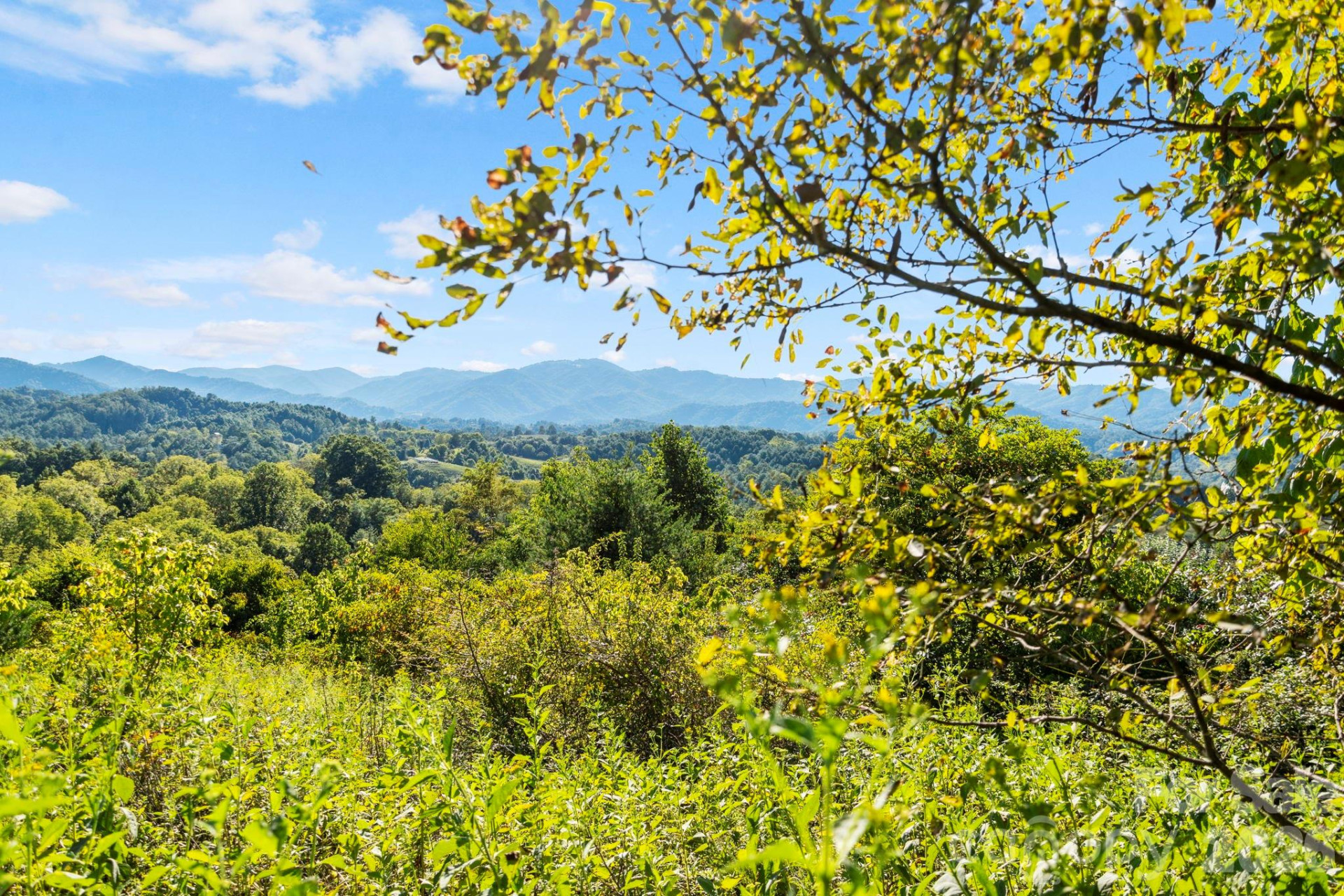 1231 Baileys Branch Road #3 - Photo 29