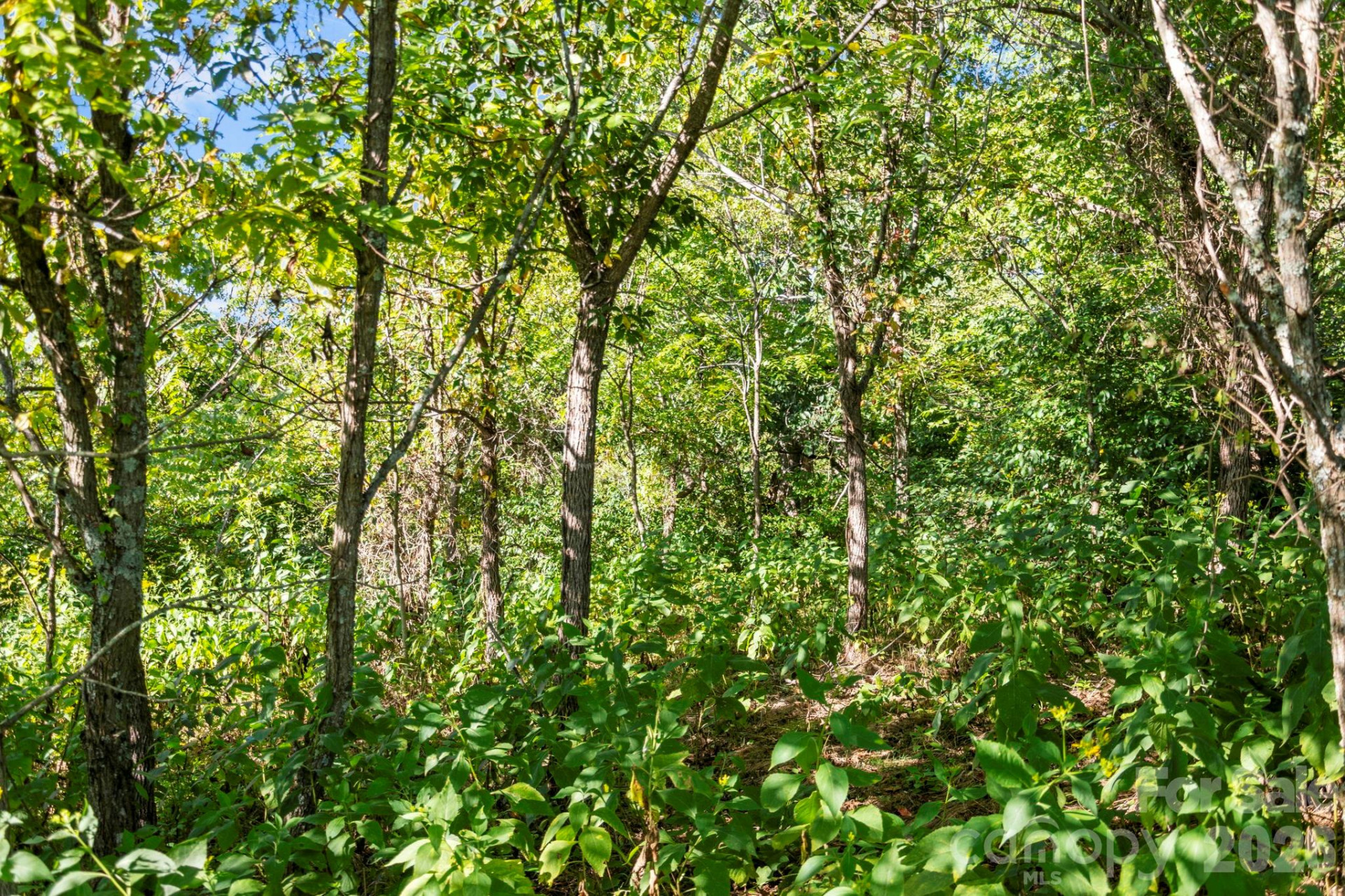 1231 Baileys Branch Road #3 - Photo 30