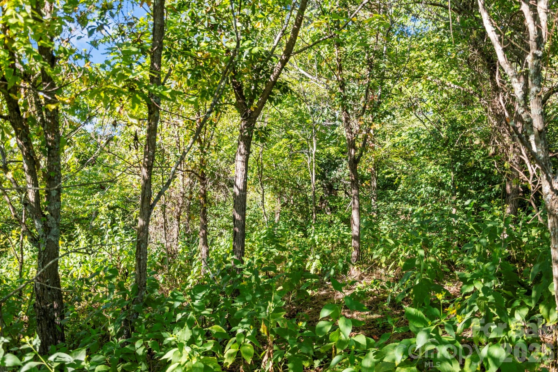 1231 Baileys Branch Road #3 - Photo 26
