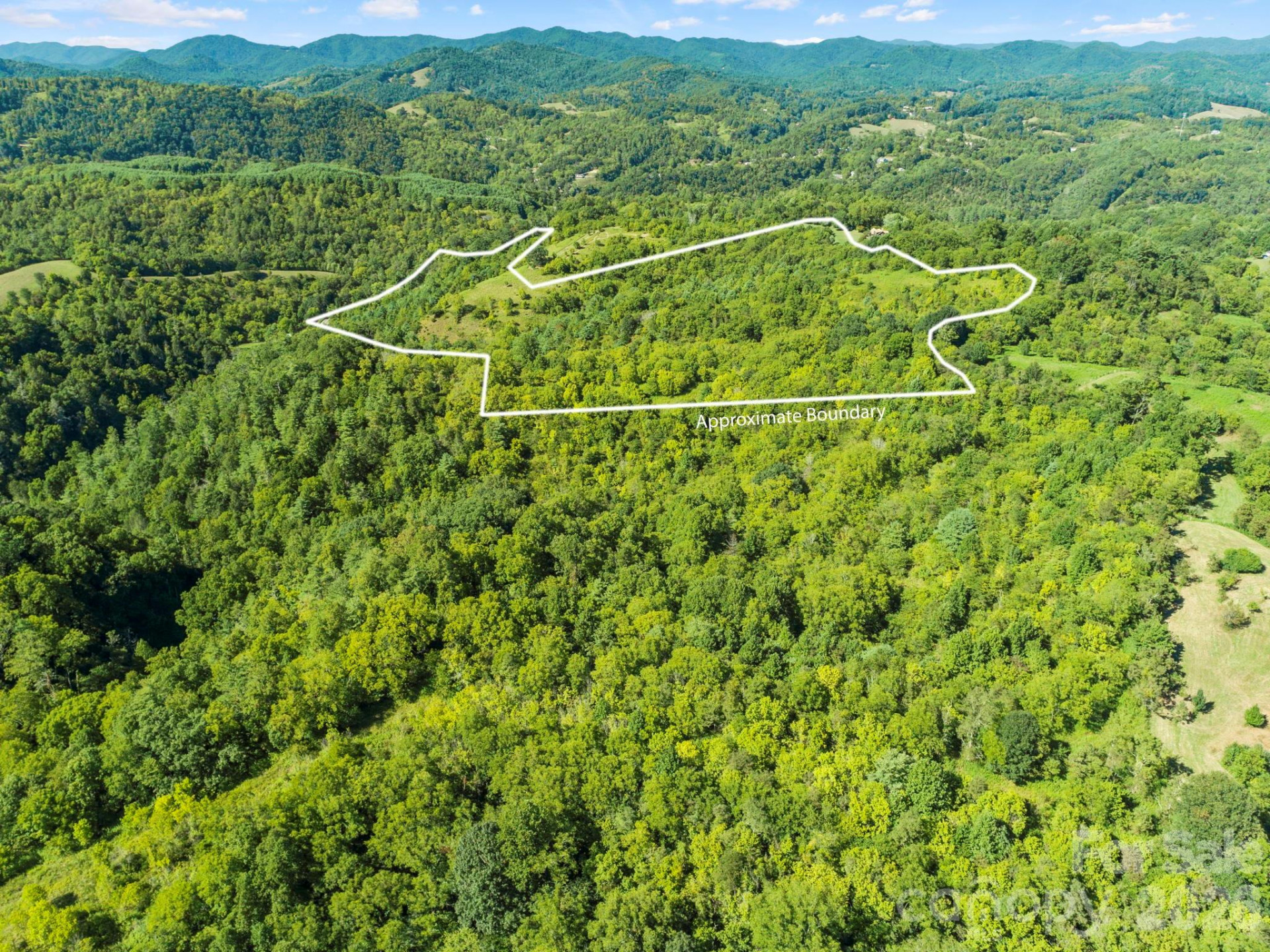 1231 Baileys Branch Road #3 - Photo 32