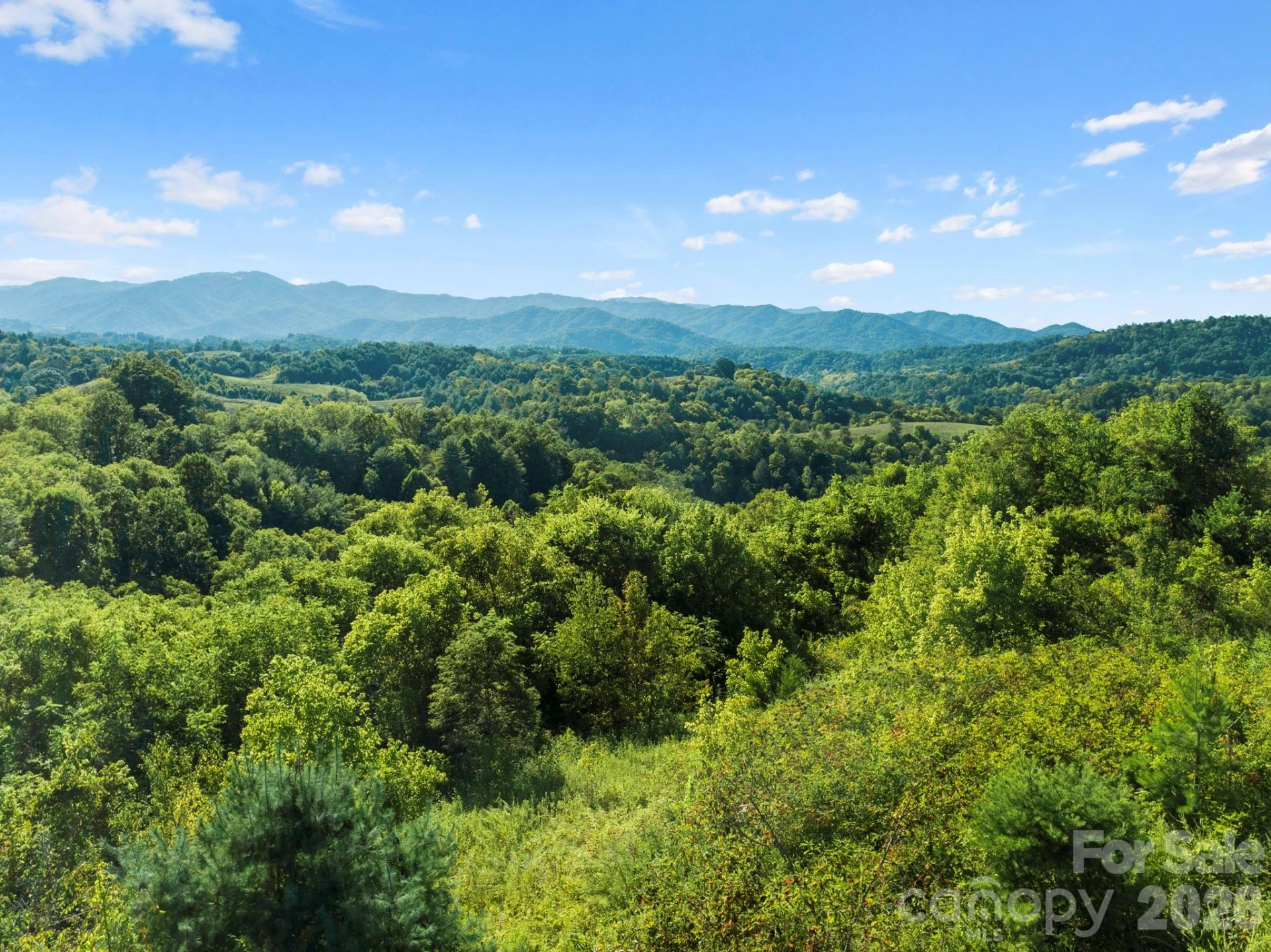 1231 Baileys Branch Road #3 - Photo 29