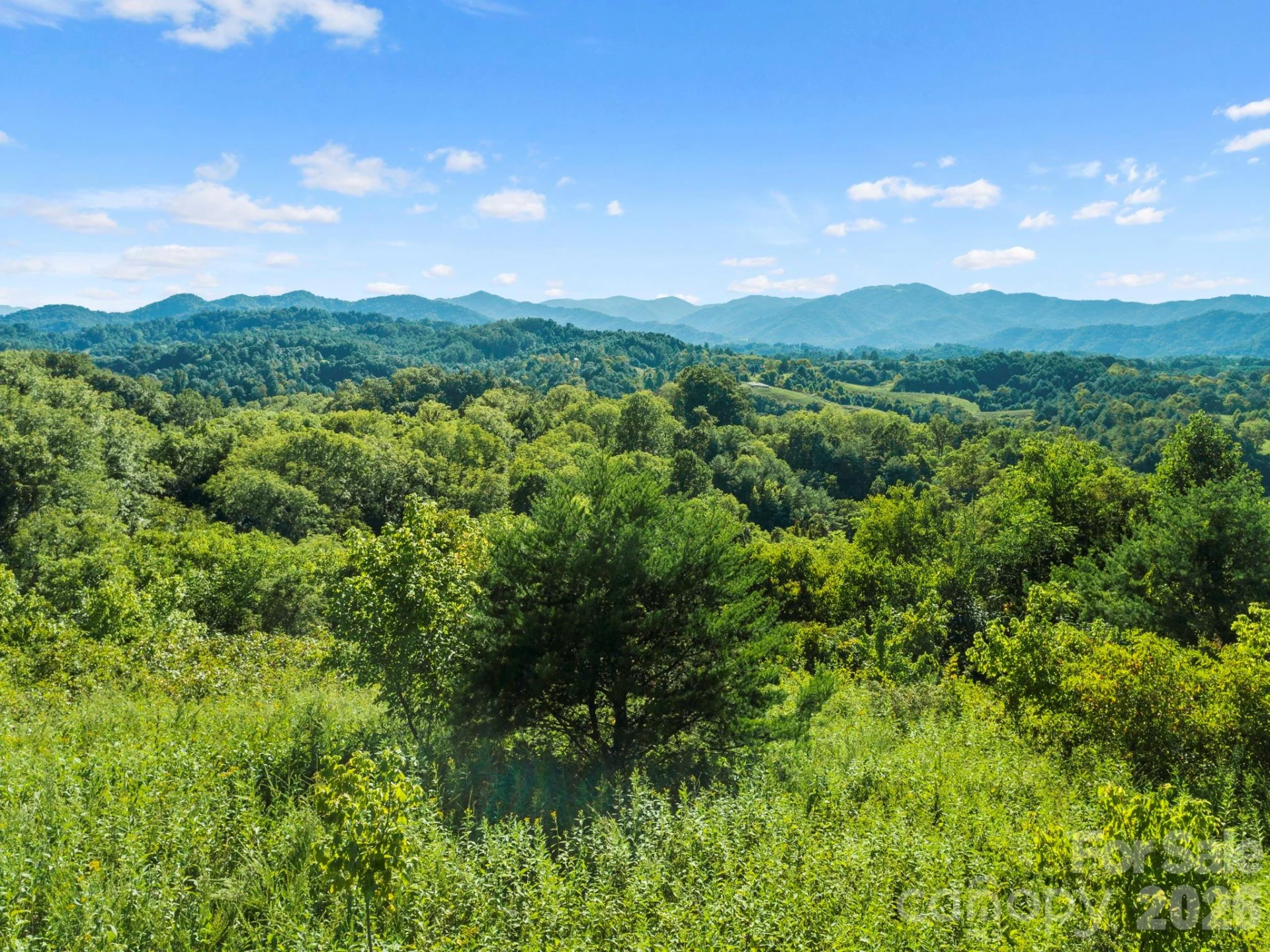 1231 Baileys Branch Road #3 - Photo 30