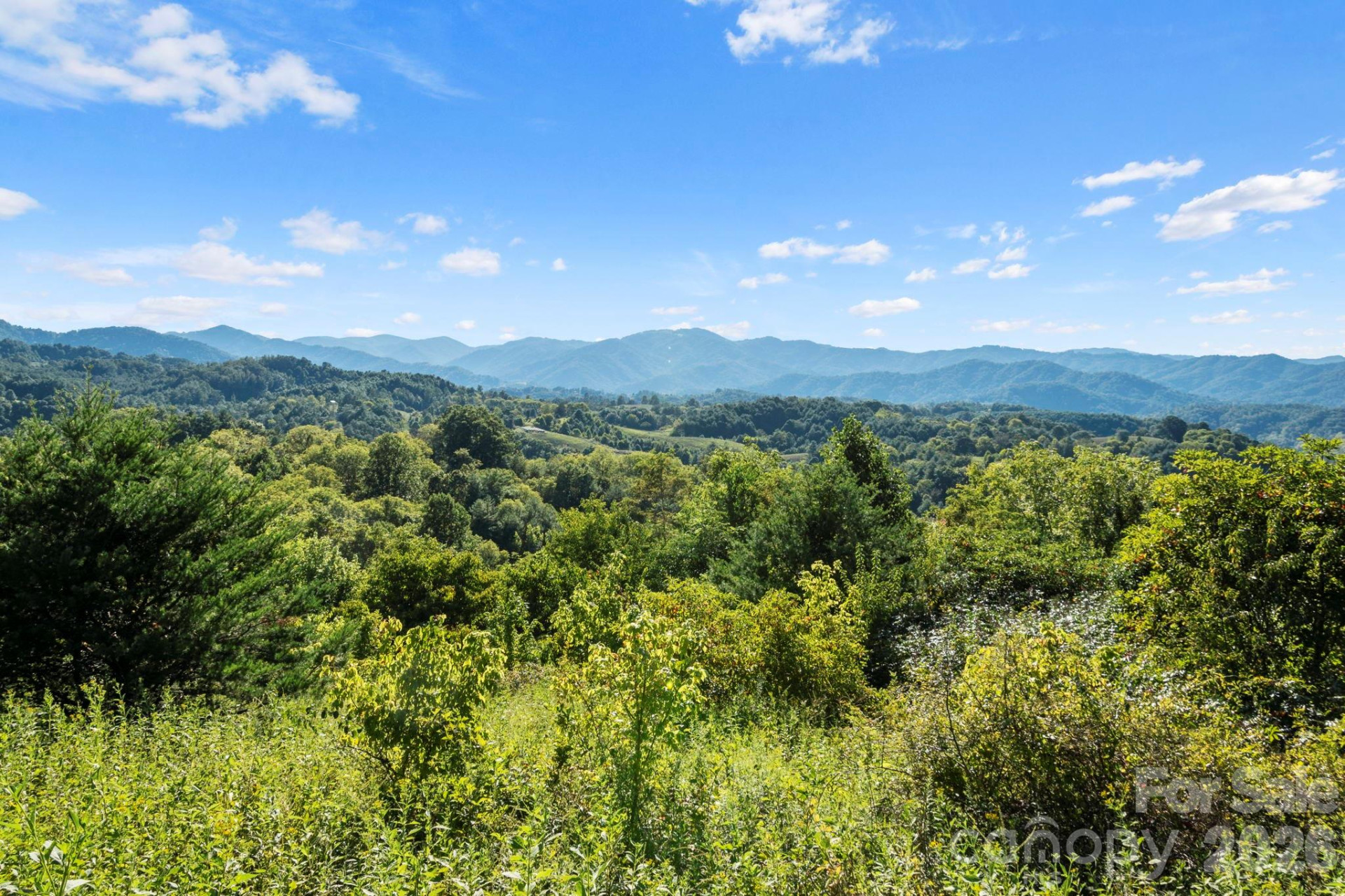 1231 Baileys Branch Road #3 - Photo 5