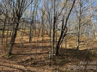 00 Tawodi Trail #13