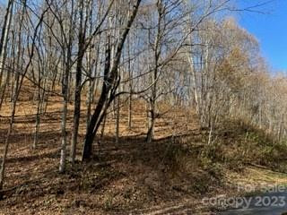00 Tawodi Trail #13 - Photo 3