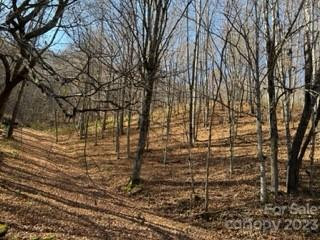 00 Tawodi Trail #13 - Photo 4