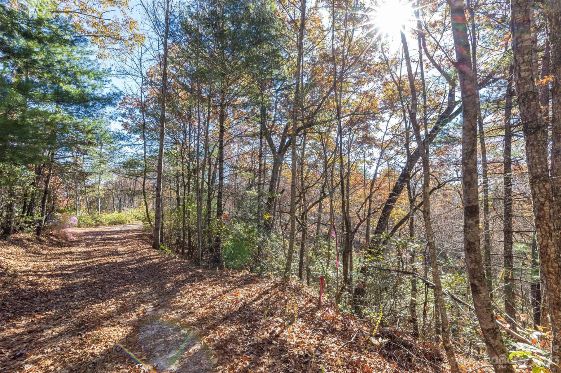 000 Needmore Road - Photo 3