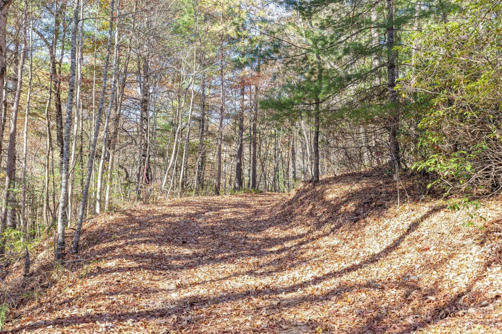 000 Needmore Road - Photo 4